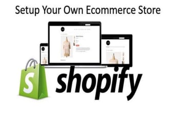 professioanlly setup converting shopify dropshiping website