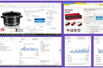 be manage ebay store, dropshipping, top product listing and sourcing