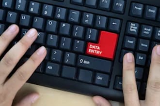 assist you in content writing and data entry