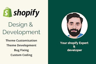 provide professional shopify maintenance and support
