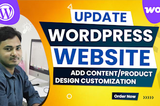 edit wordpress website, customize and update