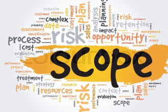 create a professional vision and scope document