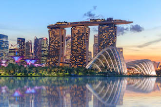 buy or do anything in singapore for you