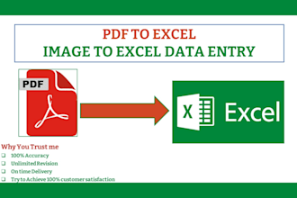 convert pdf to excel, google sheets, word,   powerpoints and typing service