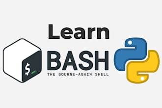 teach you python and bash scripting from beginner to pro