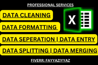 do ms excel data cleaning and formatting, excel data split, excel data entry