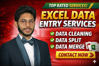 do ms excel data cleaning, data formatting, split, merge, and excel data entry