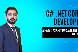 develop asp net core, asp net mvc, angular web application
