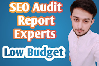 website SEO audit report