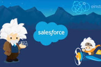 be your salesforce developer