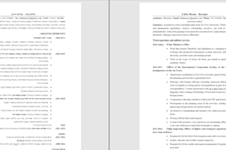 translate resumes and cvs from english to hebrew and vice versa