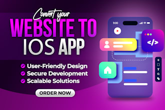 convert website to ios webview app