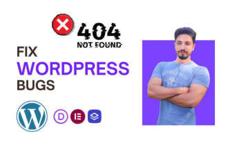 provide professional wordpress bug fixing service
