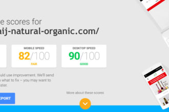 do bigcommerce speed optimization