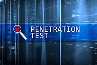 do penetration testing of your website with a professional report