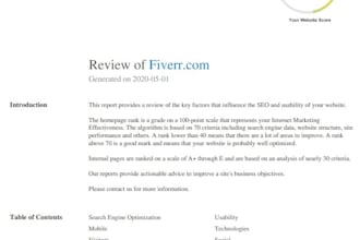 do SEO reports on every websites