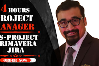 develop project implementation plan on microsoft project and primavera for you