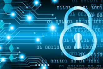 pentest your website and network security