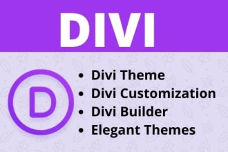 design responsive divi theme, divi builder wordpress website