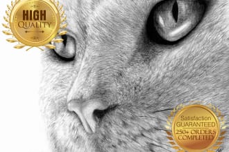 make beautiful realistic illustrations for you