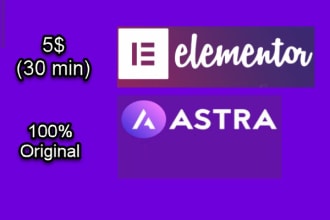 install elementor pro, astra pro and astra agency with updates