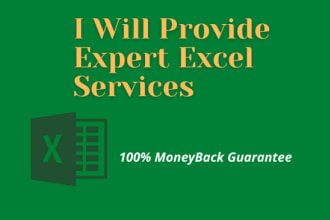 be your excel, vba, macro, pivot table, and data entry expert