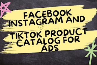 setup facebook instagram and tiktok product catalog for ads