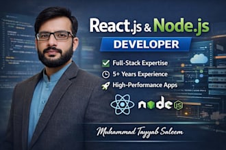 full stack react js and node js developer