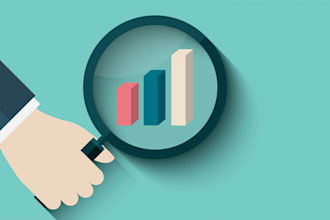 build a professional, investor ready financial model or valuation