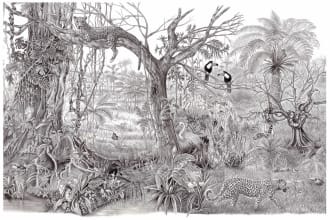draw realistic pencil hand drawing illustration