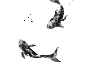draw ink and wash black and white illustration