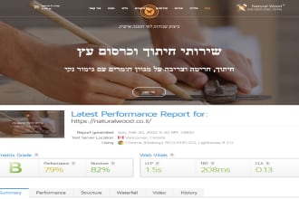 dramatically increase wordpress page speed, optimize woocomerce