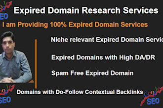 provide niche relevant expired and broken domain research services