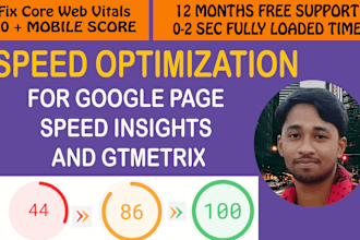 do wordpress speed optimization for google page speed insights