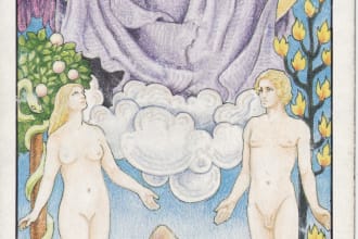 give you a relationship tarot reading plus a 3 card one