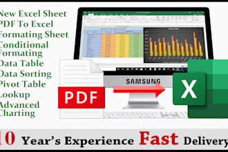 do data entry fastest and accurate, certified excel expert