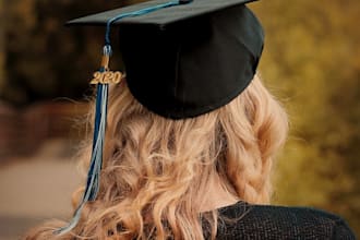 consult you to get into undergraduate master and phd programmes