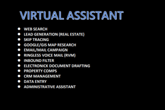 be your virtual assistant for real estate business