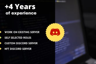 setup your new or existing discord server professionally
