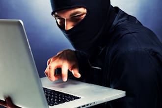 try to hack your Wordpress website and create a report on security flaws I find