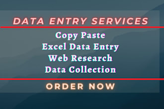 do excel data entry, web research, data entry, copy paste