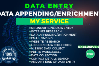 do data entry and data enrichment
