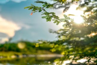 create meditation, rain, relaxing music videos