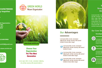 design professional flyer, trifold brochure for your business
