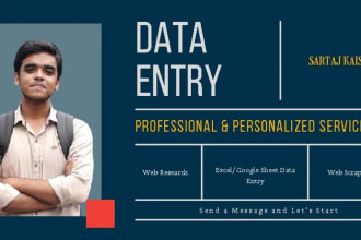 do professional excel data entry, typing, and web research