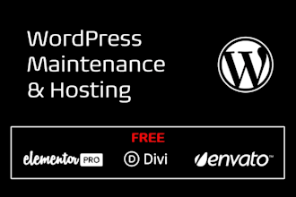 maintain your wordpress website