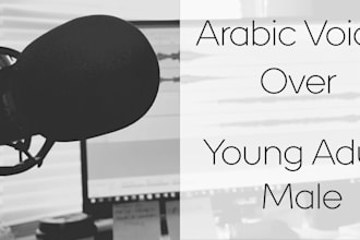 record a voice over for your videos