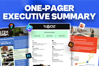 design condensed one pager, executive summary or pitch