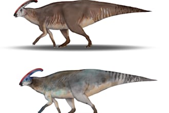 create realistic prehistoric animal illustrations for you
