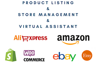 professionally add or update products in any ecommerce store